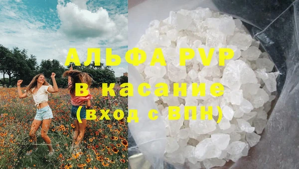 крисы Белокуриха
