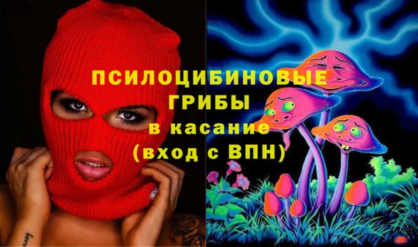 крисы Белокуриха