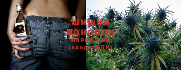 крисы Белокуриха