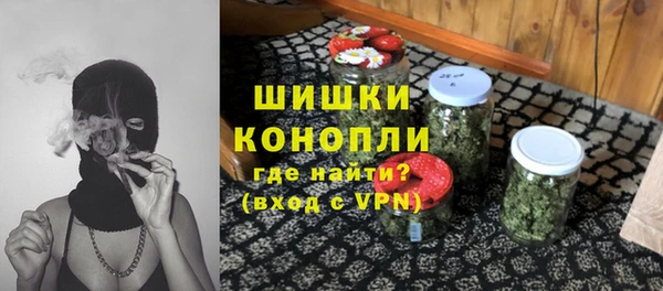 крисы Белокуриха