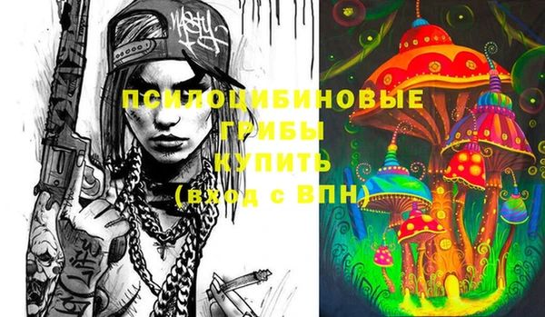 ПСИЛОЦИБИНОВЫЕ ГРИБЫ Белоозёрский